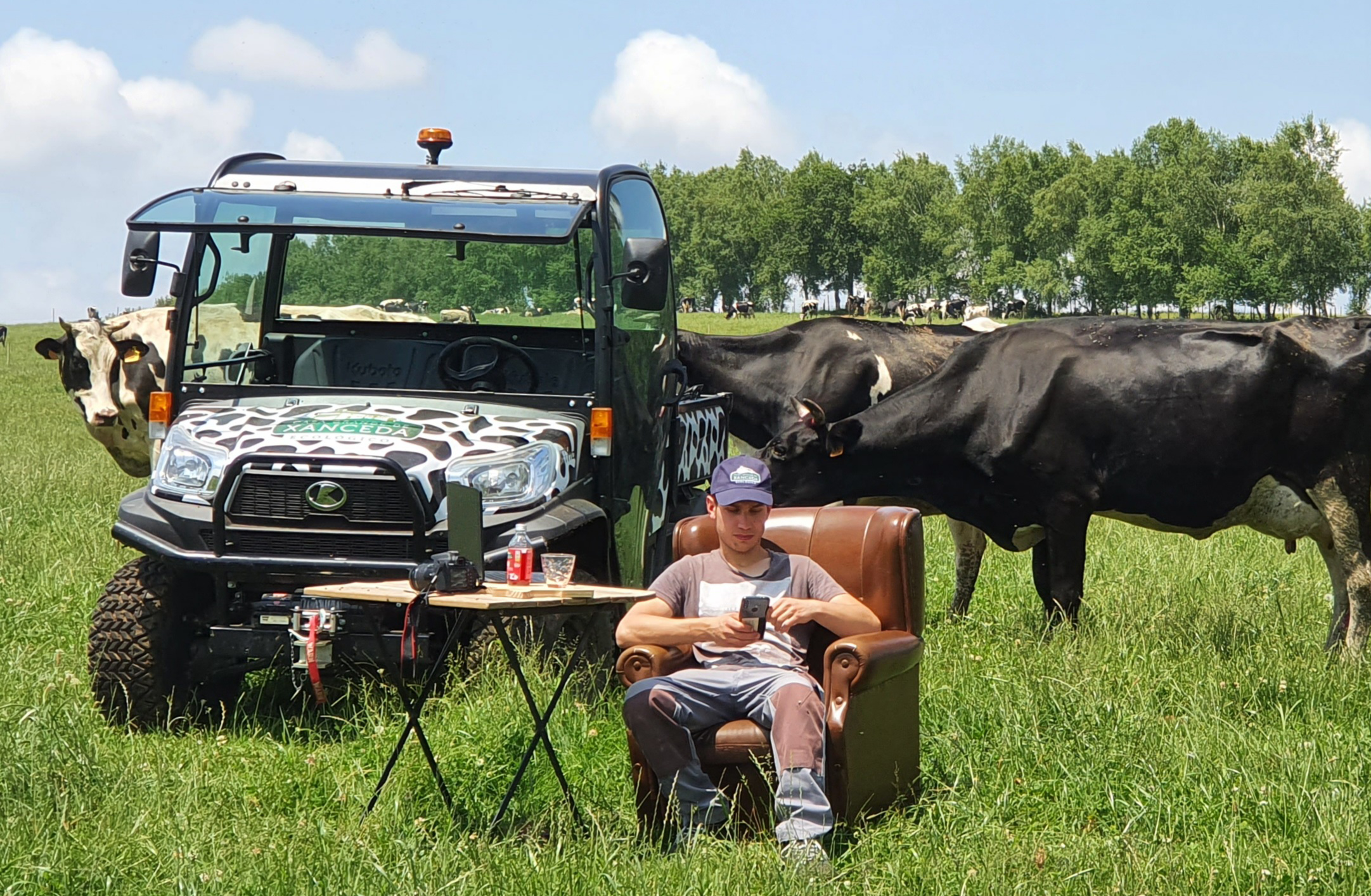 Tiktoker de vacas, diversos medios